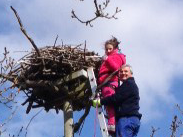 Friends of the Ospreys | Cyfeillion Gweilch y Pysgod