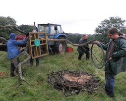 Friends of the Ospreys | Cyfeillion Gweilch y Pysgod